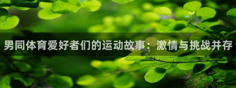 321看球直播免费高清观看