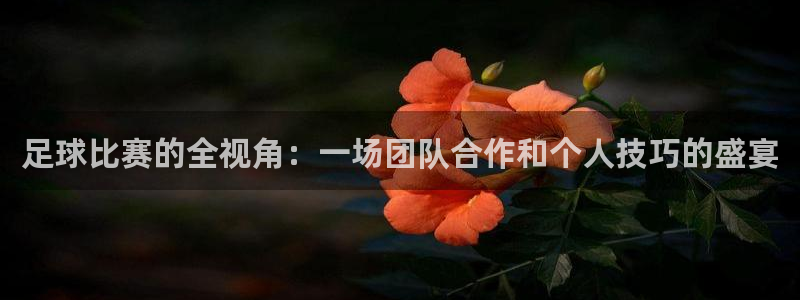 321看球直播免费高清观看