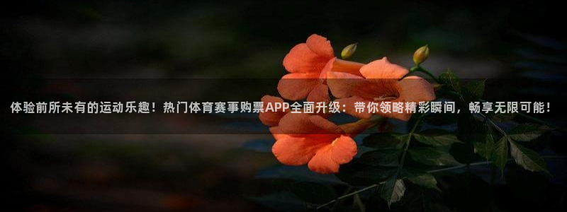 321体育直播在线观看
