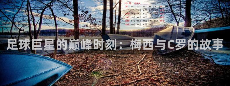 321直播体育