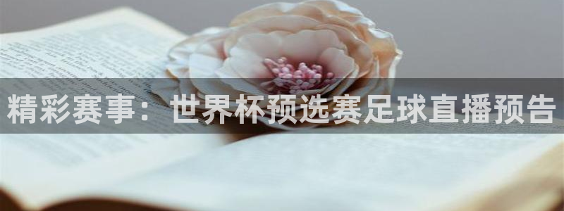 321频道直播
