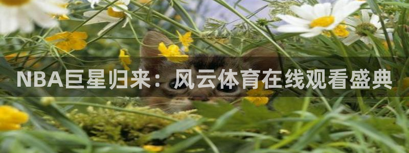 321nba免费直播高清观看