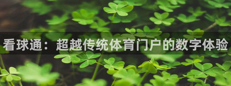 321体育免费直播