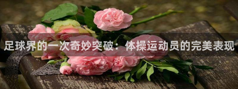 体育在线直播321