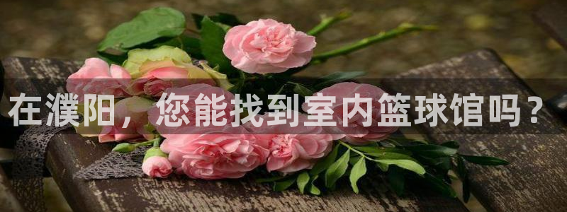 321体育直播：在濮阳，您能找到室内篮球馆吗？