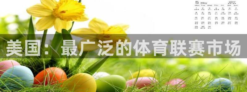 321看球直播免费高清观看：美国：最广泛的体育联赛市场