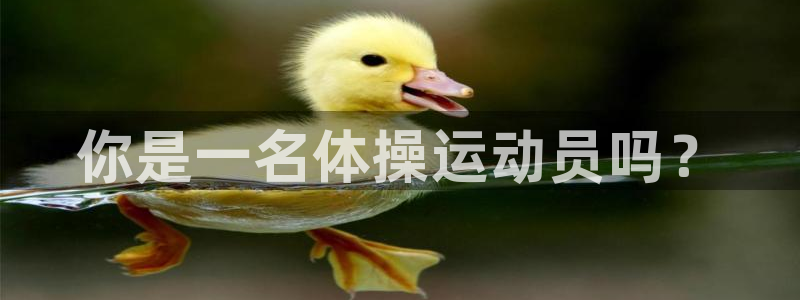 你是一名体操运动员吗？